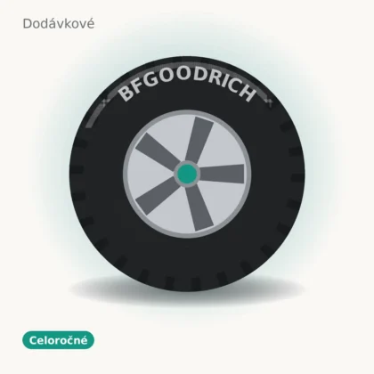 BFGoodrich celoročné pneumatika