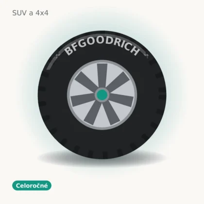 BFGoodrich celoročné pneumatika