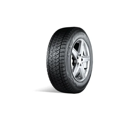 Bridgestone blizzak dm v2 pneumatika