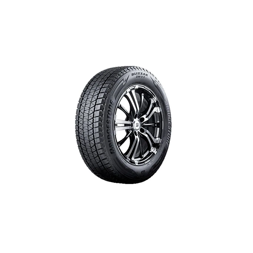 Bridgestone BLIZZAK DM-V3 255/45 R20 101T