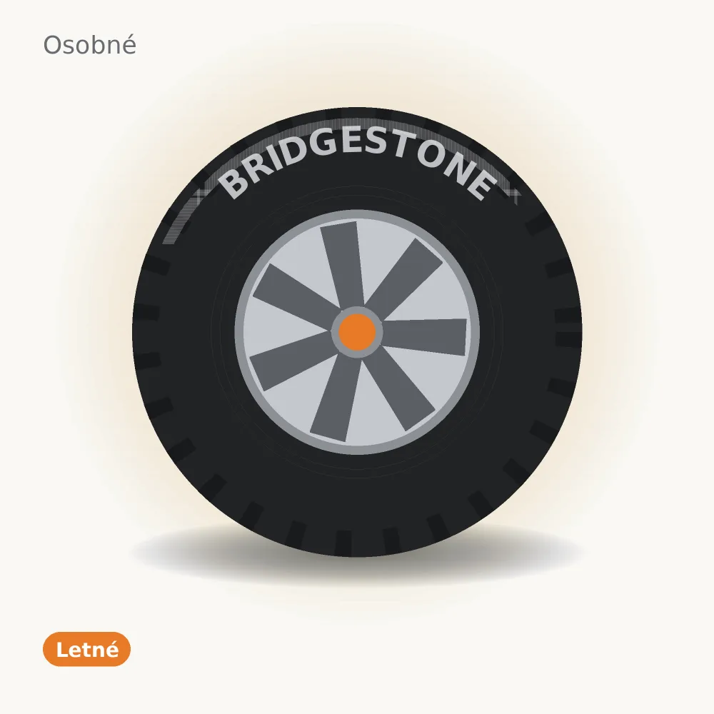 Bridgestone TURANZA ER300 ECOPIA 225/55 R17 97Y