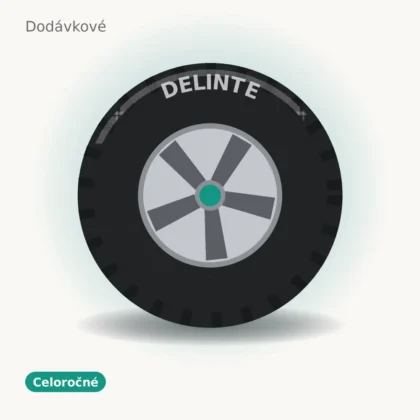 Delinte celoročné pneumatika