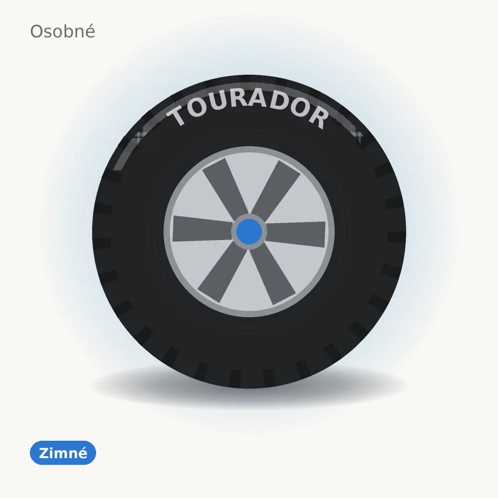 TOURADOR zimné pneumatika