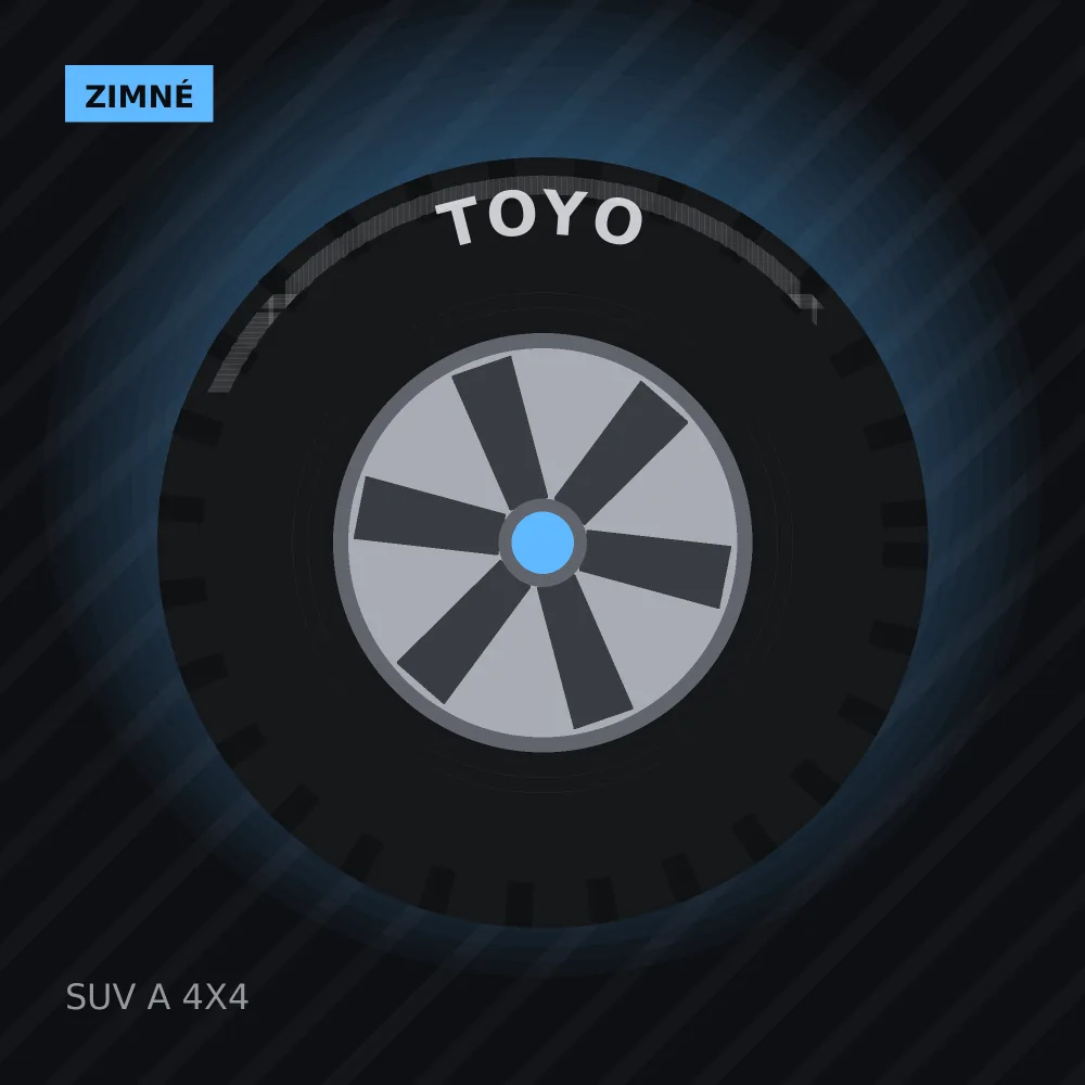 Toyo zimné pneumatika