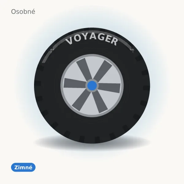 Voyager VOYAGER WINTER 225/55 R16 95H